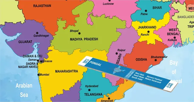 Sticks lying on the India map puzzle, which shows states such as Maharashtra and Madhya Pradesh