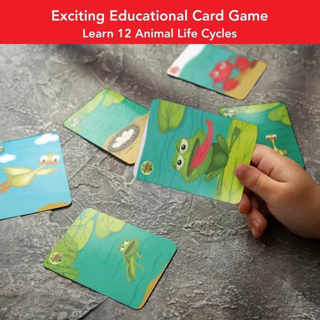 Animal life-cycle cards, such as a frog and its eggs, held over a table
