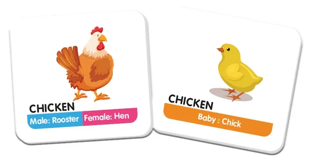 Two picture cards: a rooster and hen labelled 'Male: Rooster, Female: Hen', and a chick labelled 'Baby: Chick'